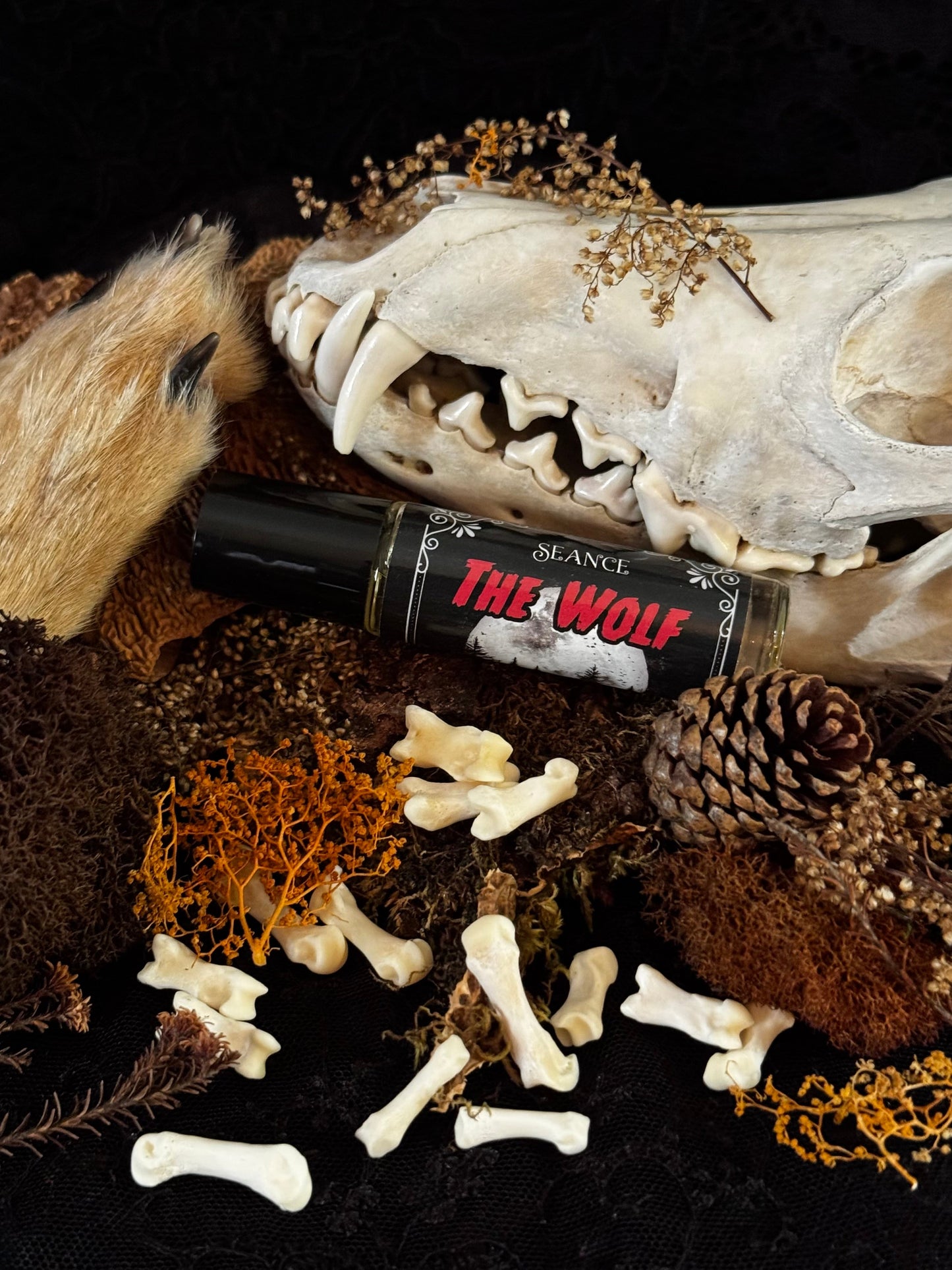 The Wolf (forest & musk)