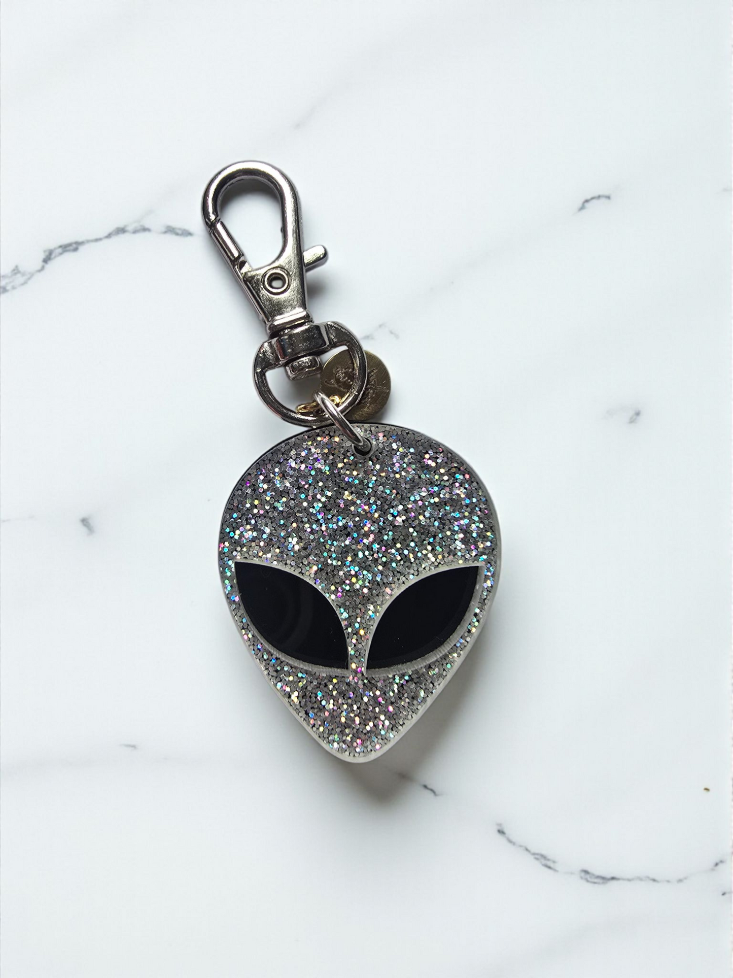 Holo Glitter Take Me To Your Reader Keychain