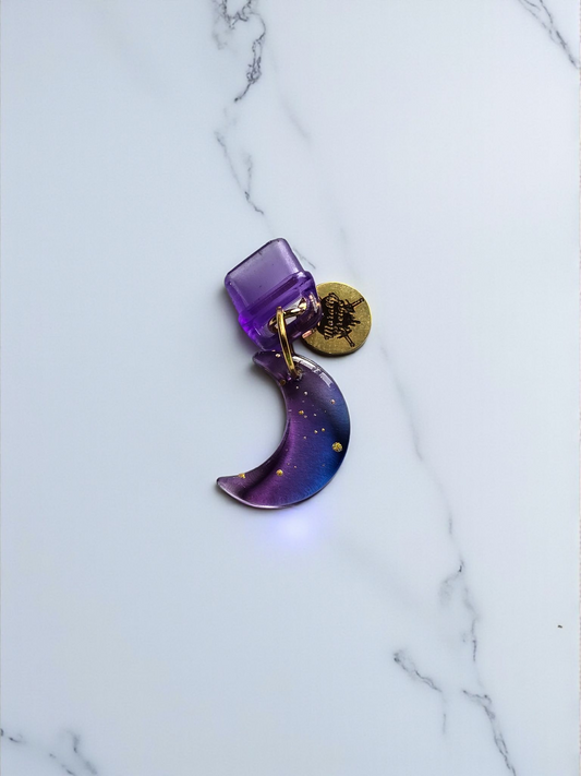 To The Moon And Back Purple Dust Plug