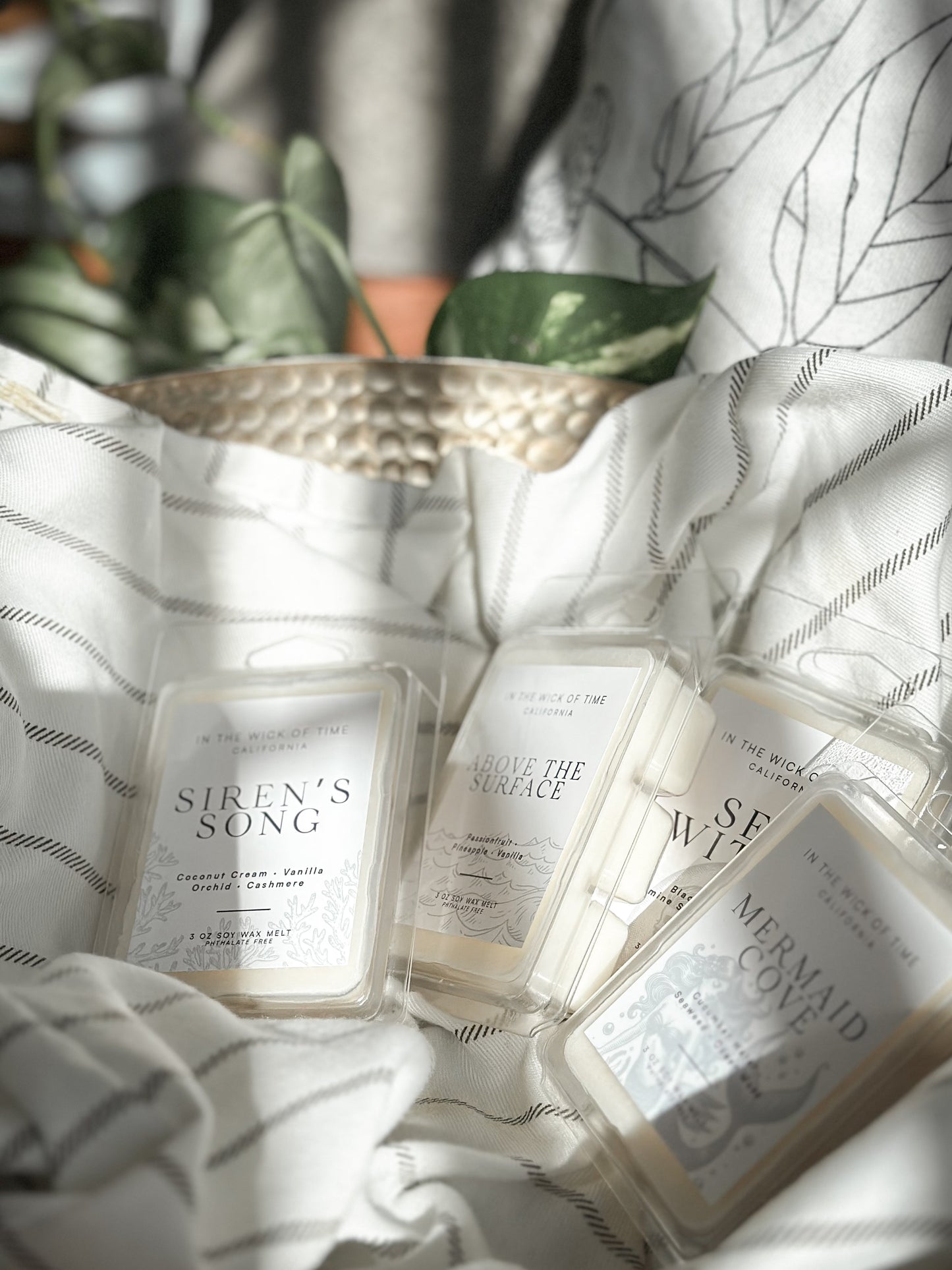 Above the Surface Wax Melt