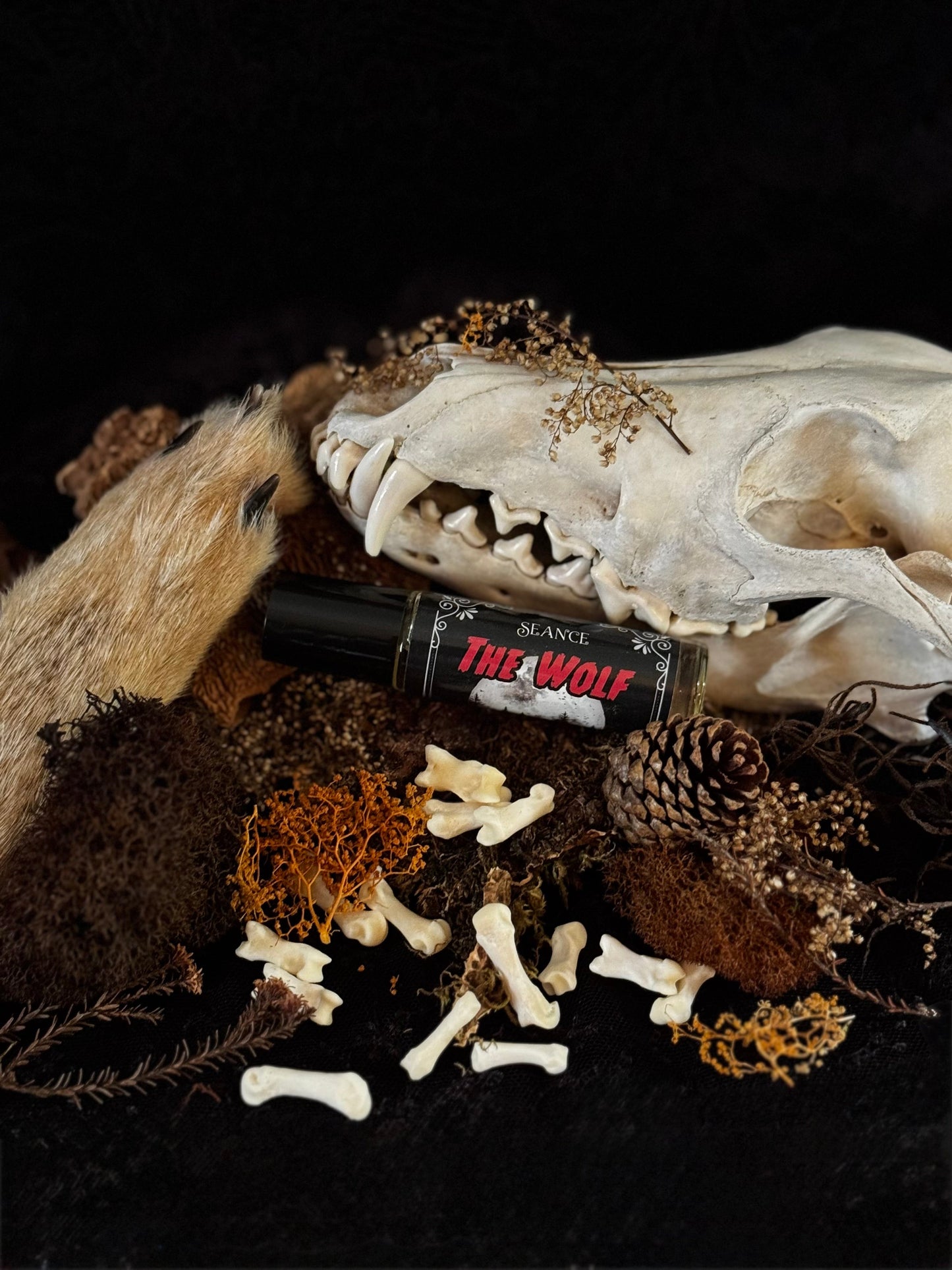 The Wolf (forest & musk)