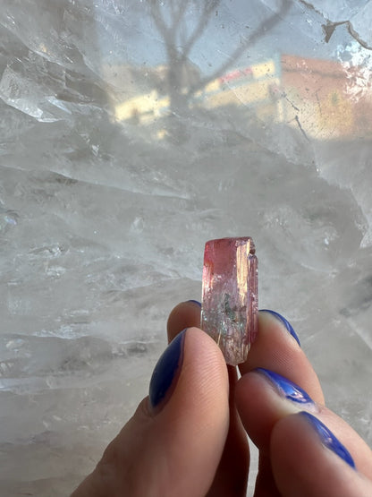 Watermelon Tourmaline from Brazil