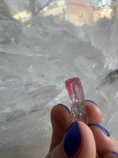 Watermelon Tourmaline from Brazil