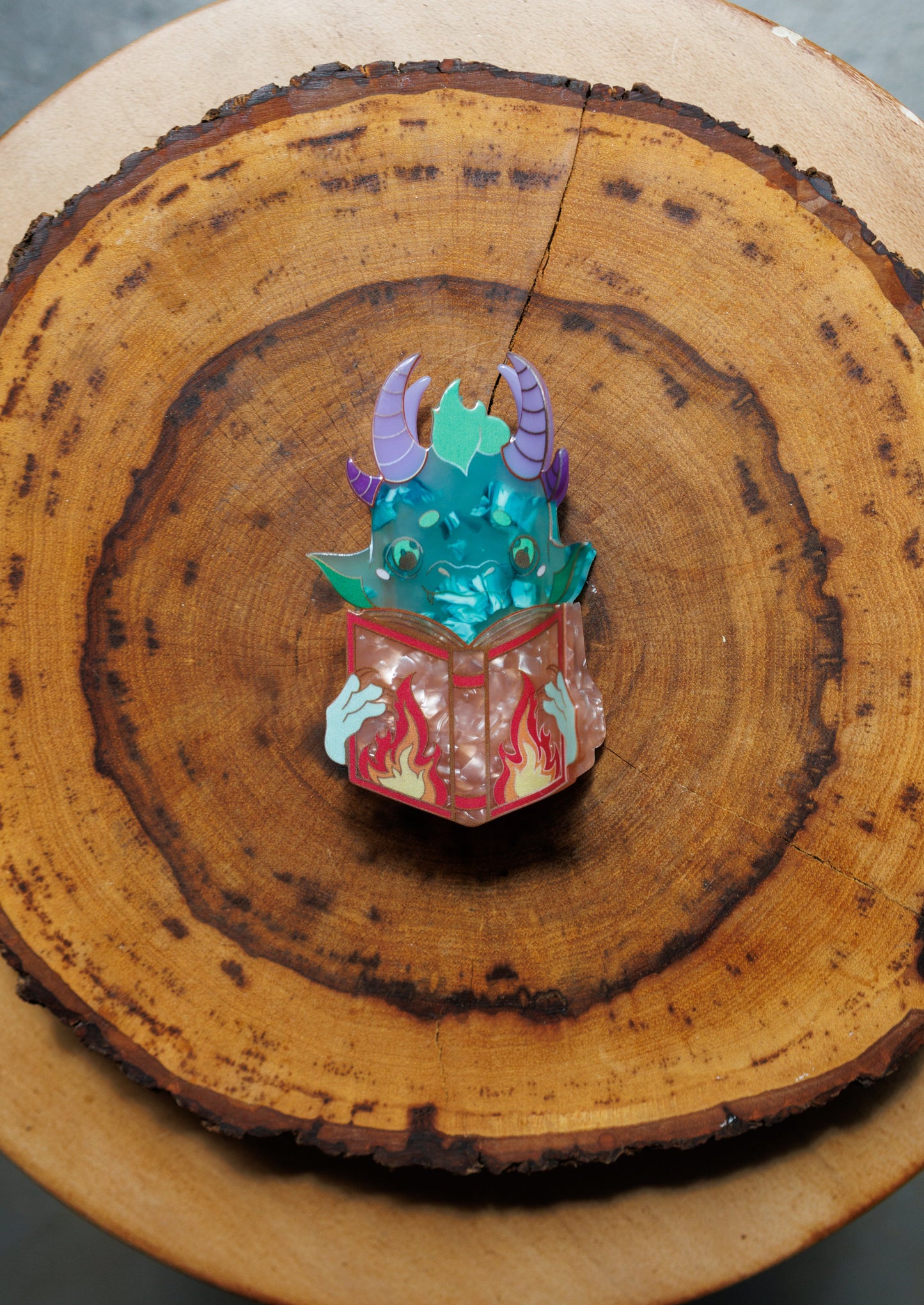 Dragon Reading Spice - Bookish Acrylic Hair Clips– Whimsical Hairclips for Book Lovers